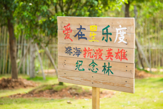 1605496040412623.png image.png