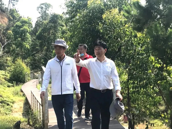 1605497611416432.png image.png