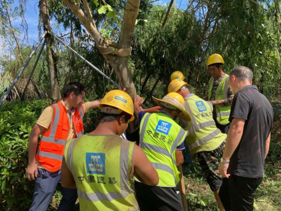 1605594932448894.png image.png