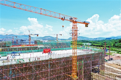 1689297307660141.jpg 1.jpg