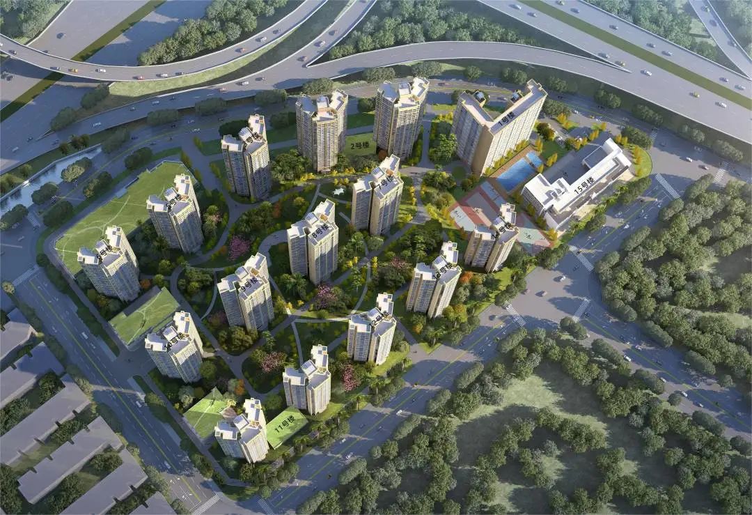 1699934832701782.jpg 12.jpg