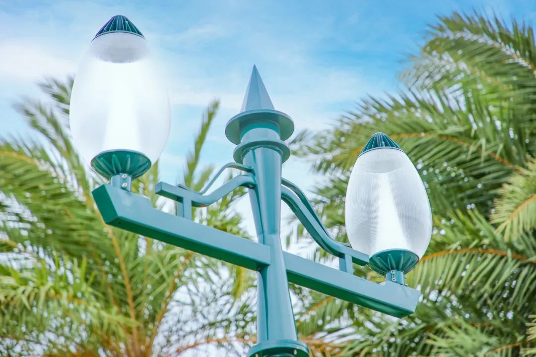 1700553795174016.jpg 4.jpg