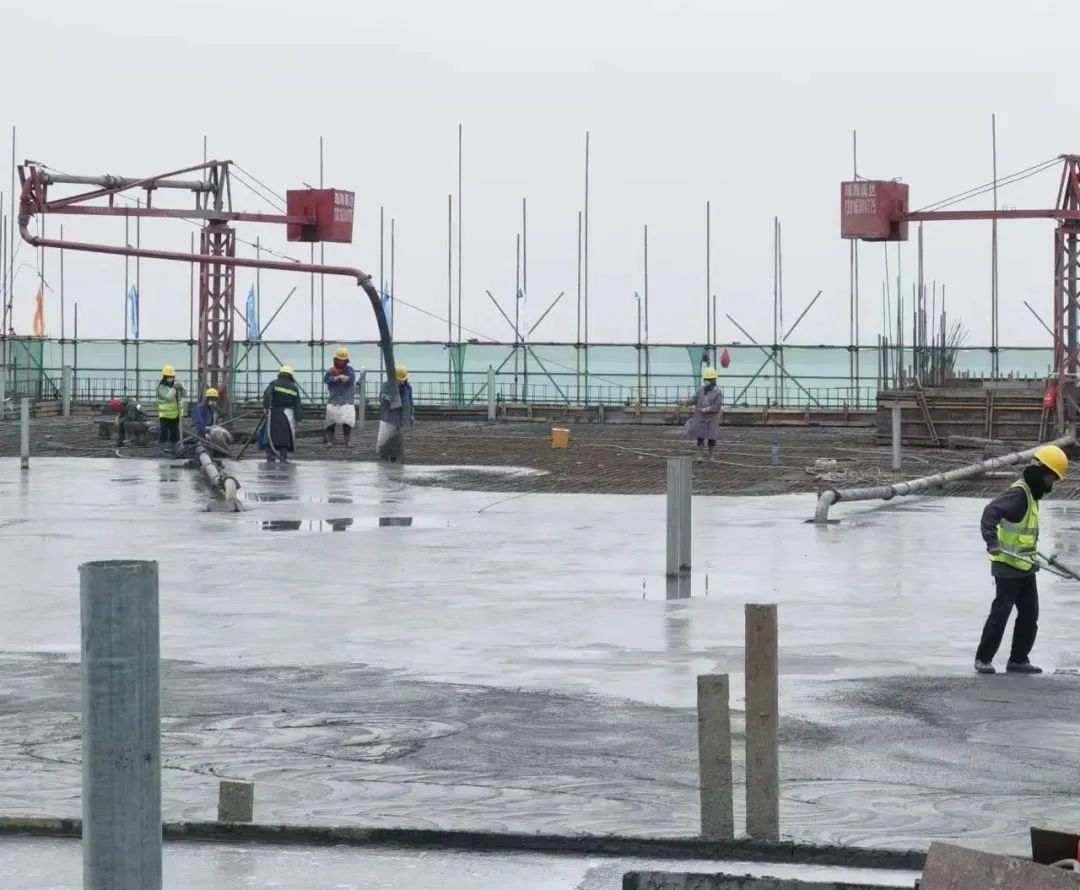 1703471694912957.jpg 5.jpg