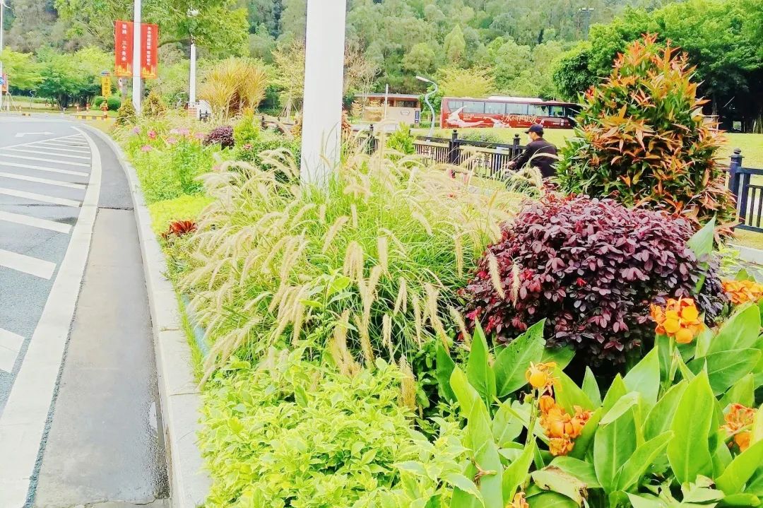 1706064027425052.jpg 5.jpg