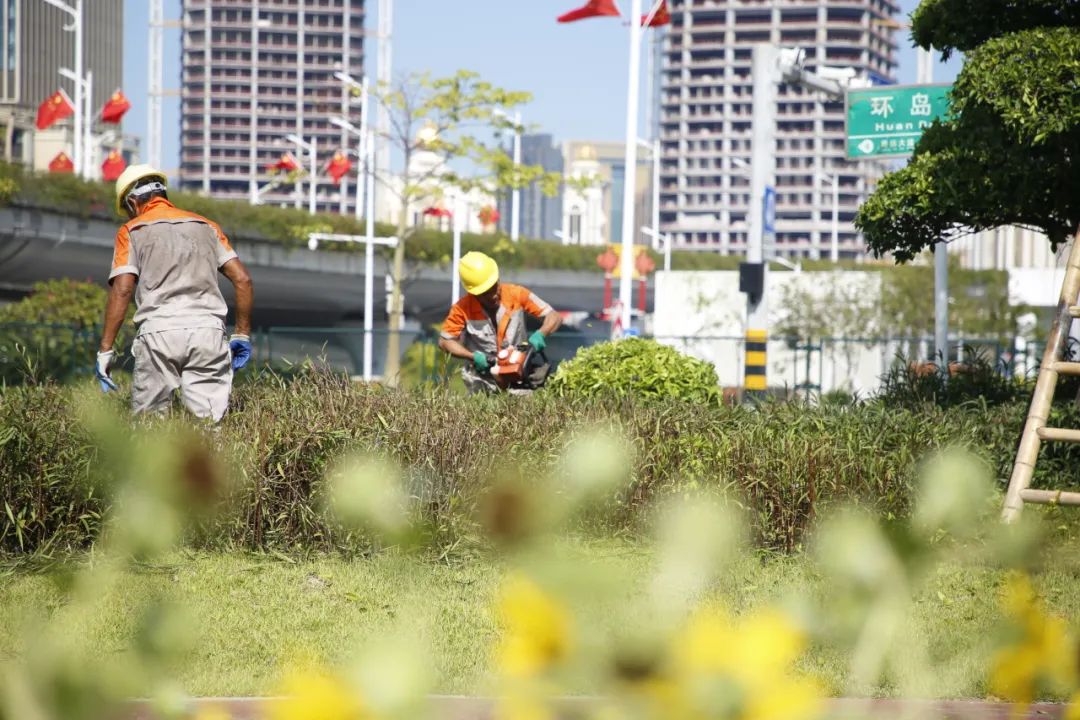 1706064094375213.jpg 8.jpg