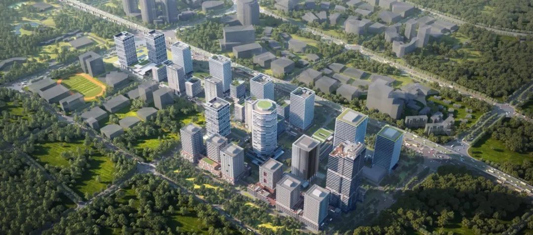 1706080053671259.jpg 3.jpg