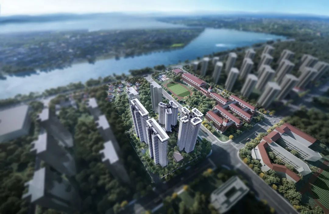 1716969927628987.jpg 4.jpg