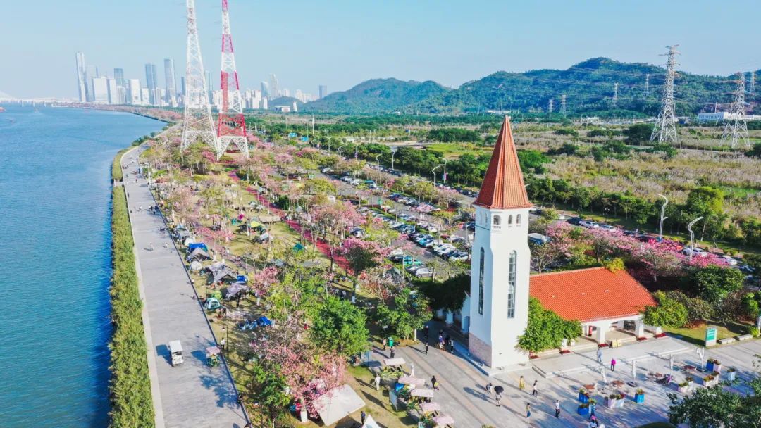 1721011013389297.jpg 5.jpg